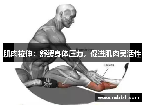 肌肉拉伸：舒缓身体压力，促进肌肉灵活性
